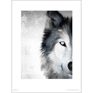 PDH01399 늑대 페인트 (40x50cm)