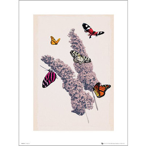 PDH01083 나비와 꽃 (40x50)